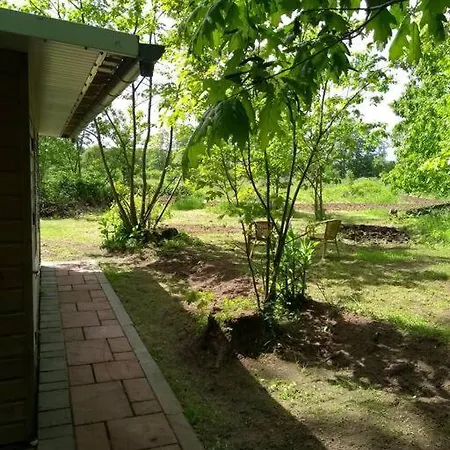 Vrijstaande Tiny House In De Natuur. Holiday home