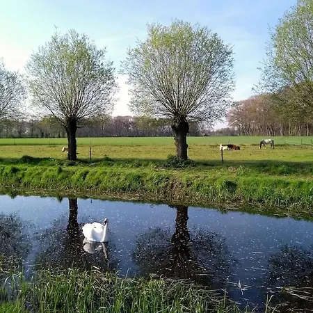 Vrijstaande Tiny House In De Natuur.