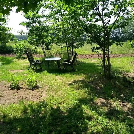 Vrijstaande Tiny House In De Natuur.