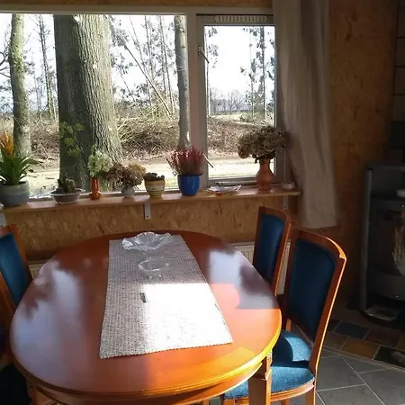 Vrijstaande Tiny House In De Natuur. *