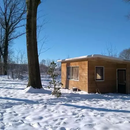 Vrijstaande Tiny House In De Natuur. Holiday home Aalten