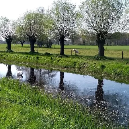 Vrijstaande Tiny House In De Natuur.