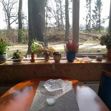 Holiday home Vrijstaande Tiny House In De Natuur. Aalten